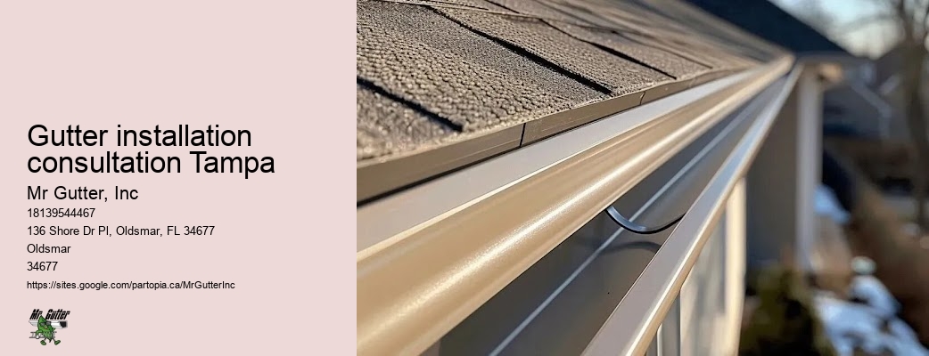 Trustworthy gutter installation Gutter installation consultation Tampa