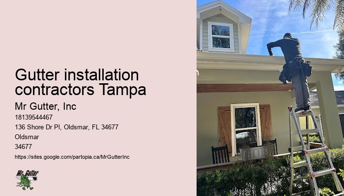 Gutter installation contractors Tampa gutter repair estimates