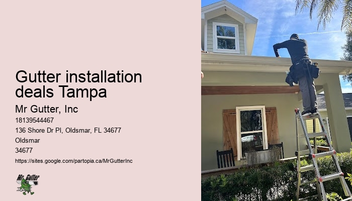 Gutter replacement services Gutter installation deals Tampa
