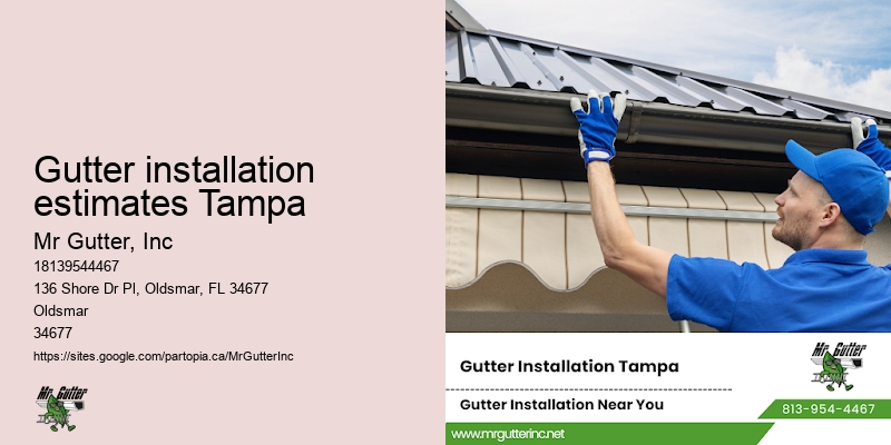 Residential rain gutters Gutter installation estimates Tampa