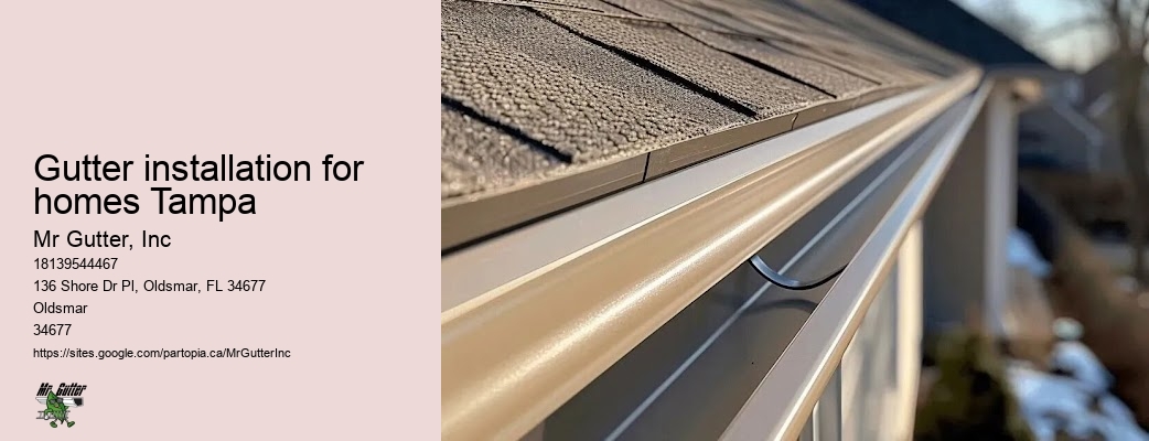 Gutter installation company near me Gutter installation for homes Tampa