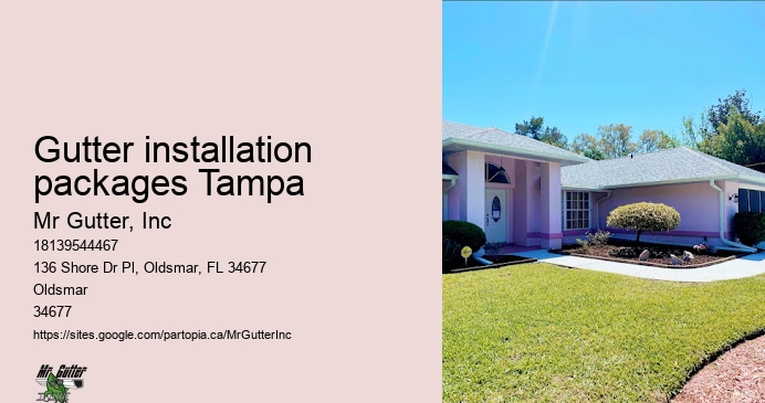 Innovative gutter installation Gutter installation packages Tampa