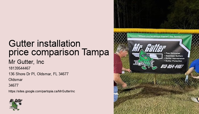 Gutter installation for government buildings Gutter installation price comparison Tampa