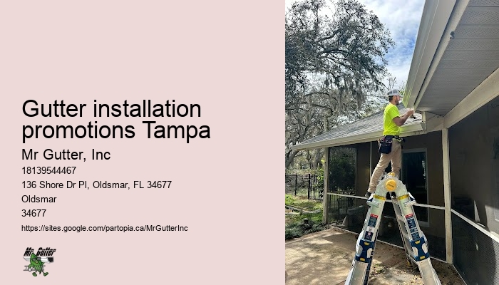 Quality gutter installers Gutter installation promotions Tampa