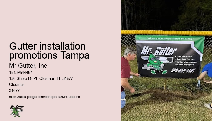 Custom gutters Gutter installation promotions Tampa installation
