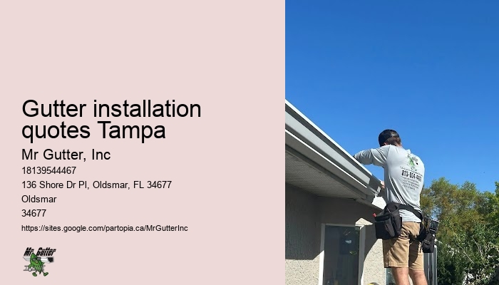 Professional gutter maintenance Gutter installation quotes Tampa