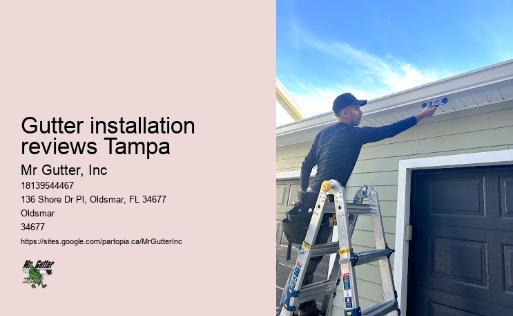 Gutter downspout repair Gutter installation reviews Tampa