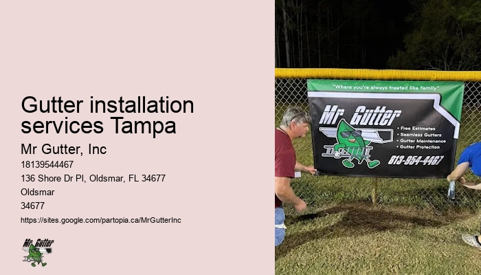 Affordable seamless gutters Gutter installation services Tampa