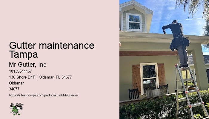 Leaf guard gutter installation Gutter maintenance Tampa