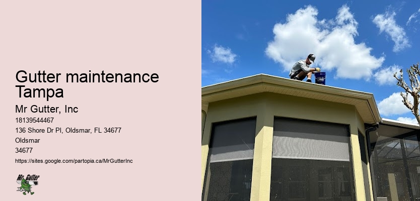 Downspout installation Gutter maintenance Tampa