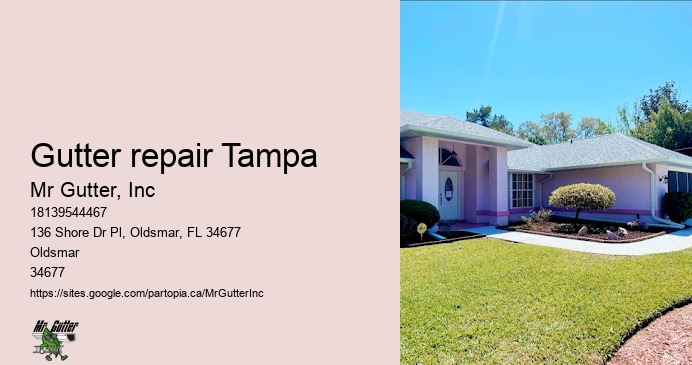Gutter covers installation Gutter repair Tampa