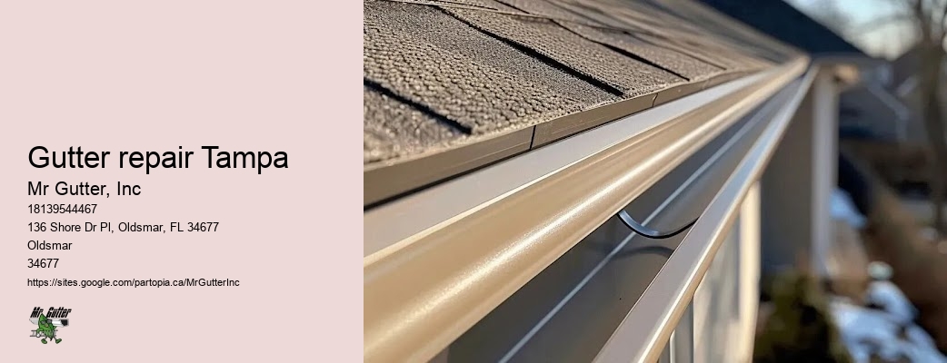 Fascia and soffit installation Gutter repair Tampa