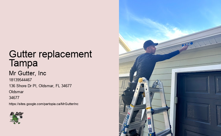 Leaf guard installation Gutter replacement Tampa