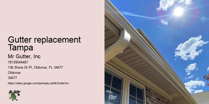 Gutter replacement Tampa gutter installation cost