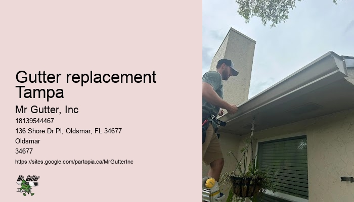 Affordable gutter services Gutter replacement Tampa