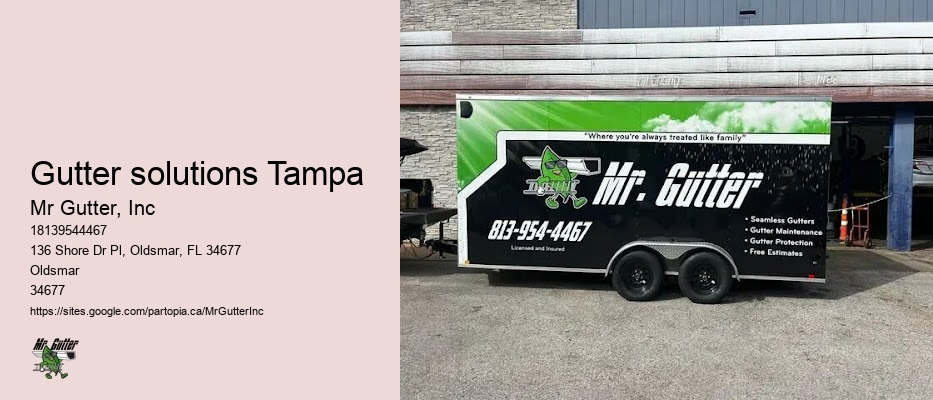 Gutter solutions Tampa