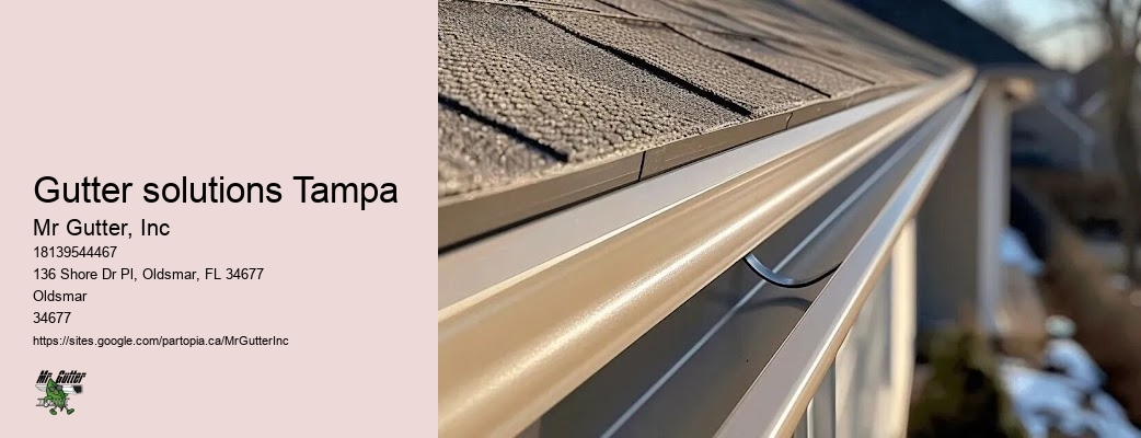 Gutter maintenance contractors Gutter solutions Tampa