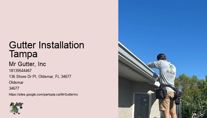 Professional gutter installation Gutter Installation Tampa