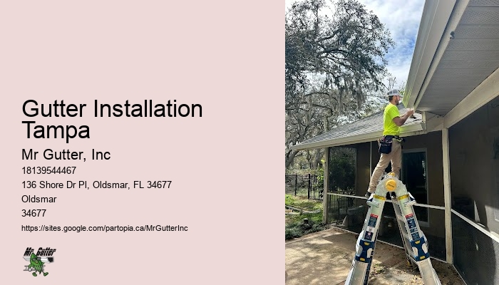Gutter installation company Gutter Installation Tampa