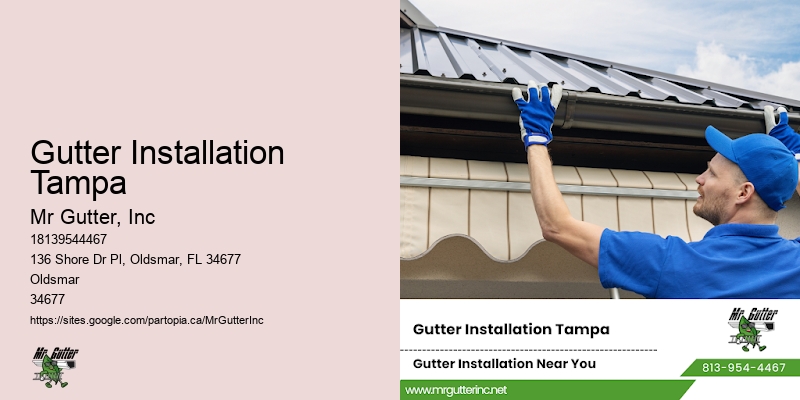 Residential gutter installation Gutter Installation Tampa