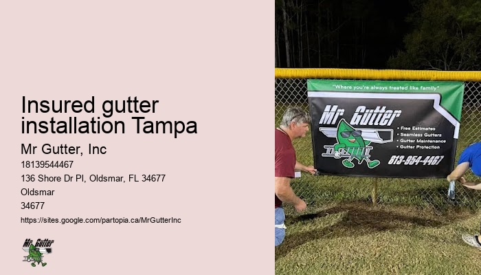 Gutter installation for old homes Insured gutter installation Tampa