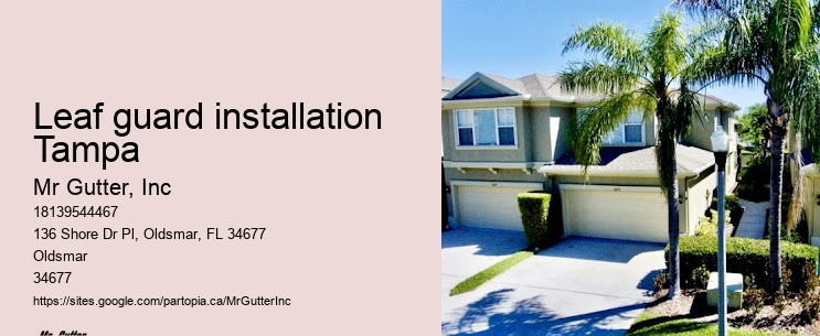 Gutter installation experts near me Leaf guard installation Tampa