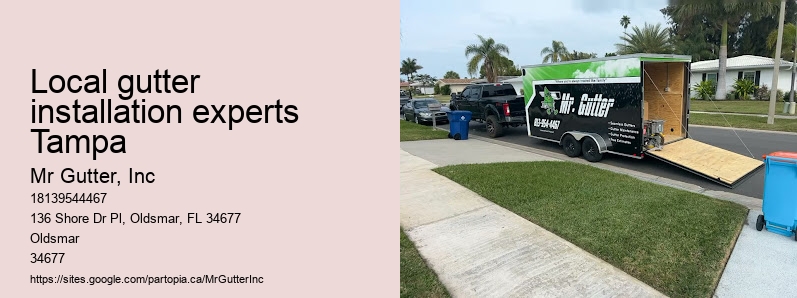 Gutter installation specialists Local gutter installation experts Tampa