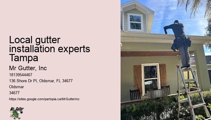 Local gutter installation experts Tampa rainwater collection systems