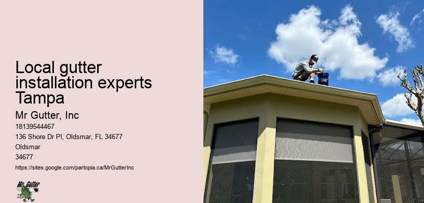 Local gutter installation experts Tampa gutter systems installation