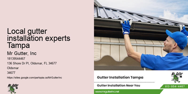 Best gutter materials Local gutter installation experts Tampa