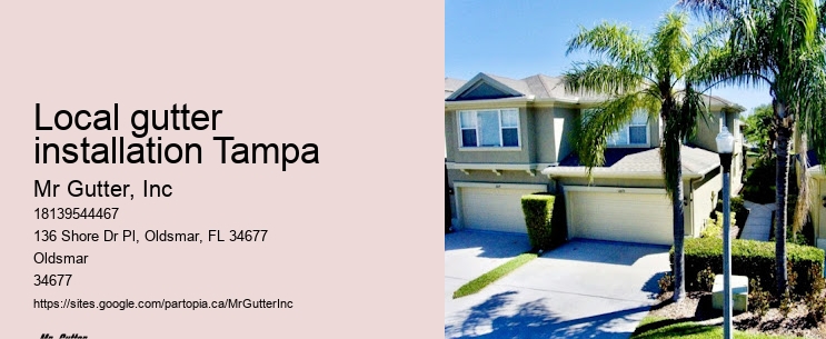 Gutter installation reviews Local gutter installation Tampa