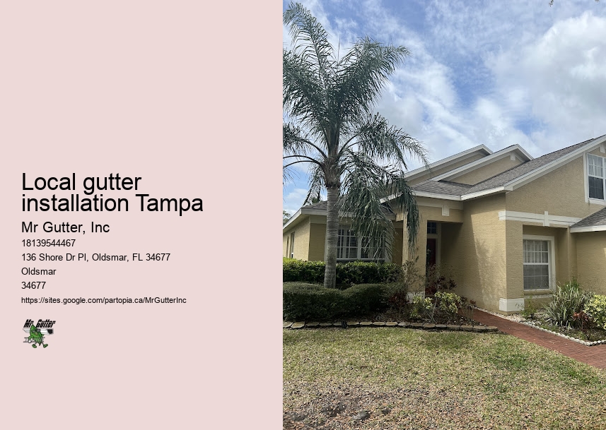Reliable gutter installation Local gutter installation Tampa