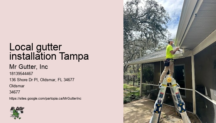 Gutter installation deals Local gutter installation Tampa