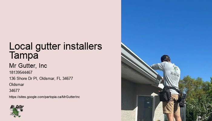 Gutter cleaning cost Local gutter installers Tampa