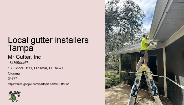 Local gutter installers Tampa gutter cleaning reviews