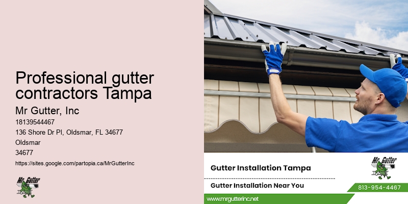 Rain gutter installers Professional gutter contractors Tampa