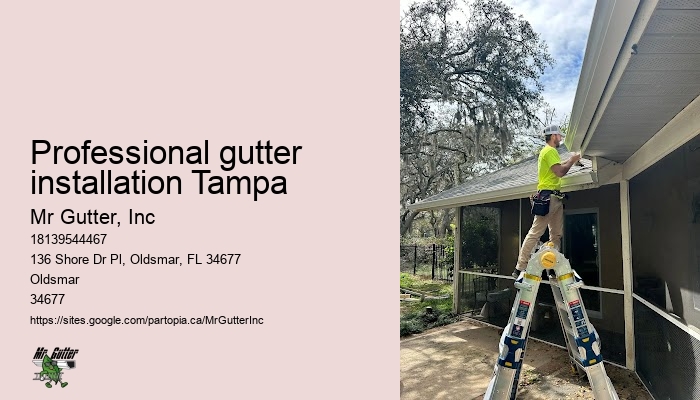 Local gutter installation experts Professional gutter installation Tampa