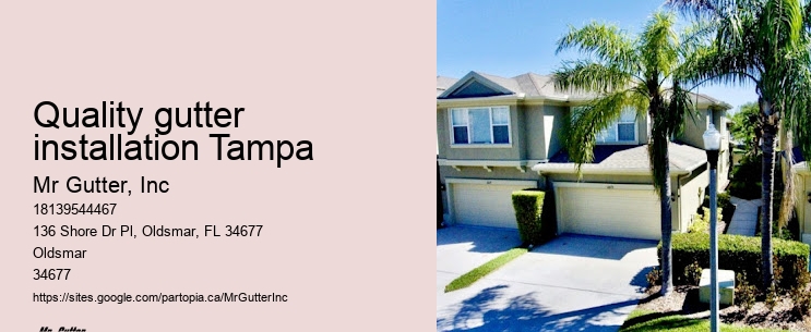 Gutter protection systems Quality gutter installation Tampa