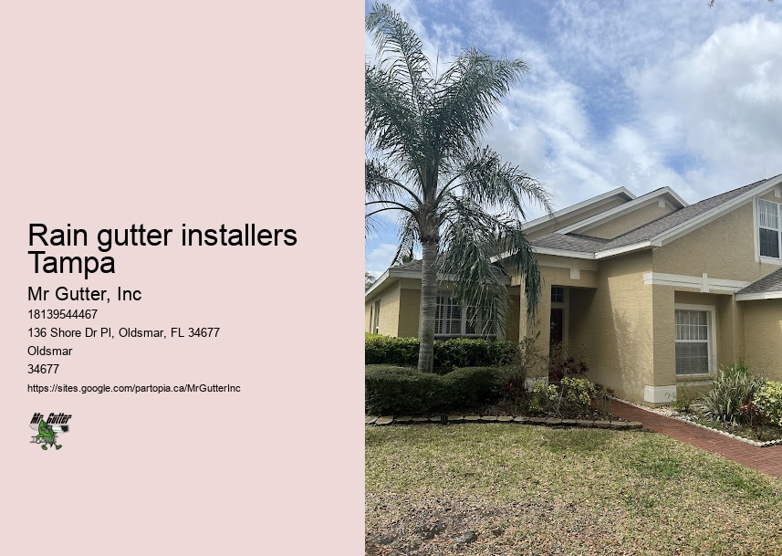Gutter covers installation Rain gutter installers Tampa