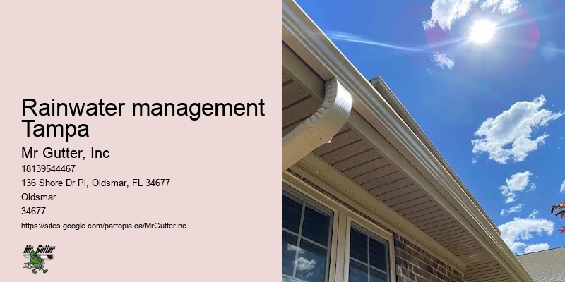 Fast gutter installation Rainwater management Tampa