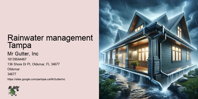 Best rated gutter installation Rainwater management Tampa
