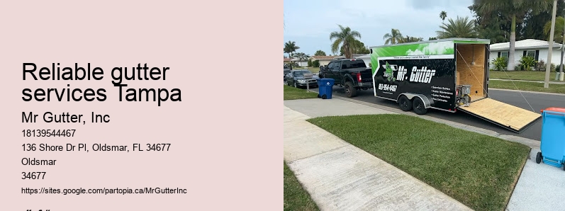 Gutter and downspout cleaning Reliable gutter services Tampa