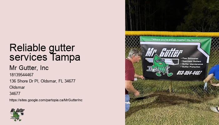 Certified gutter installers Reliable gutter services Tampa