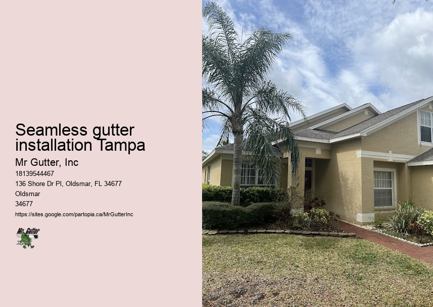 Seamless gutter installation Tampa gutter installation experts