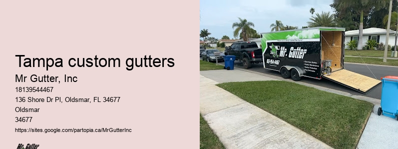 Tampa custom gutters gutter services reviews