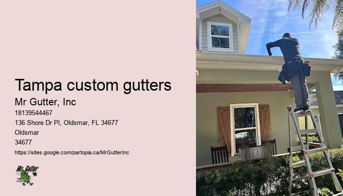 Tampa custom gutters gutter installation quotes