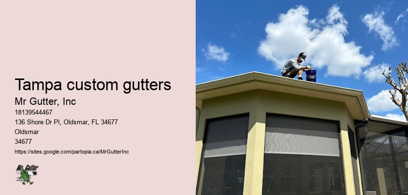 Professional gutter maintenance Tampa custom gutters