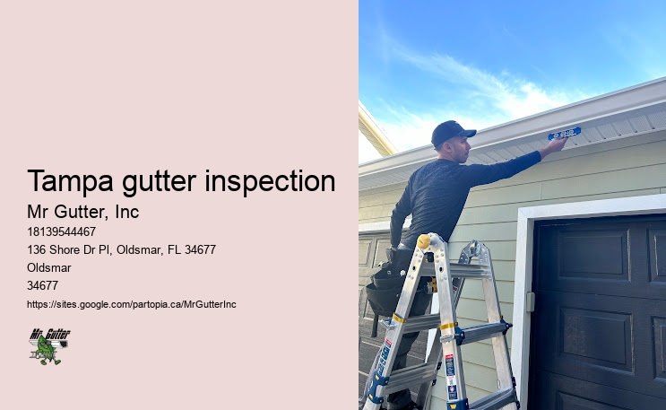 Gutter installation pros Tampa gutter inspection