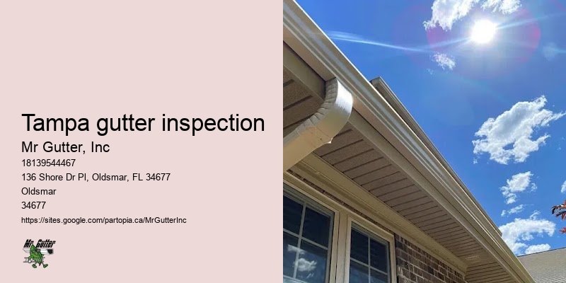 Gutter installation service area Tampa gutter inspection
