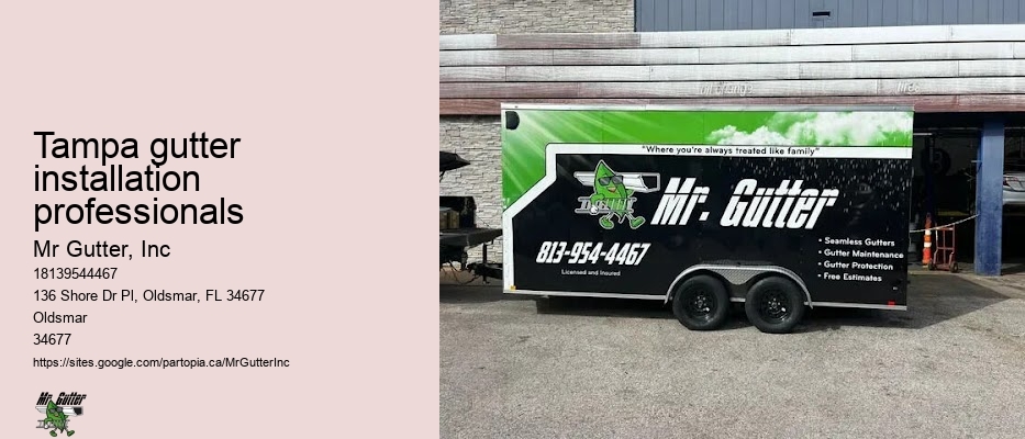 Tampa gutter installation professionals